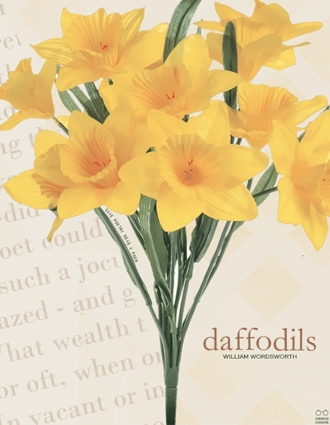 daffodils-3